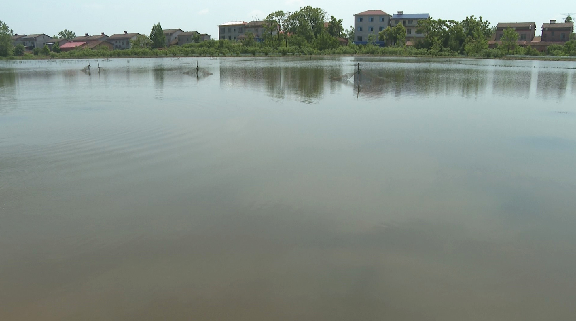 江南龙虾航拍011_副本.jpg 江南龙虾航拍011_副本.jpg