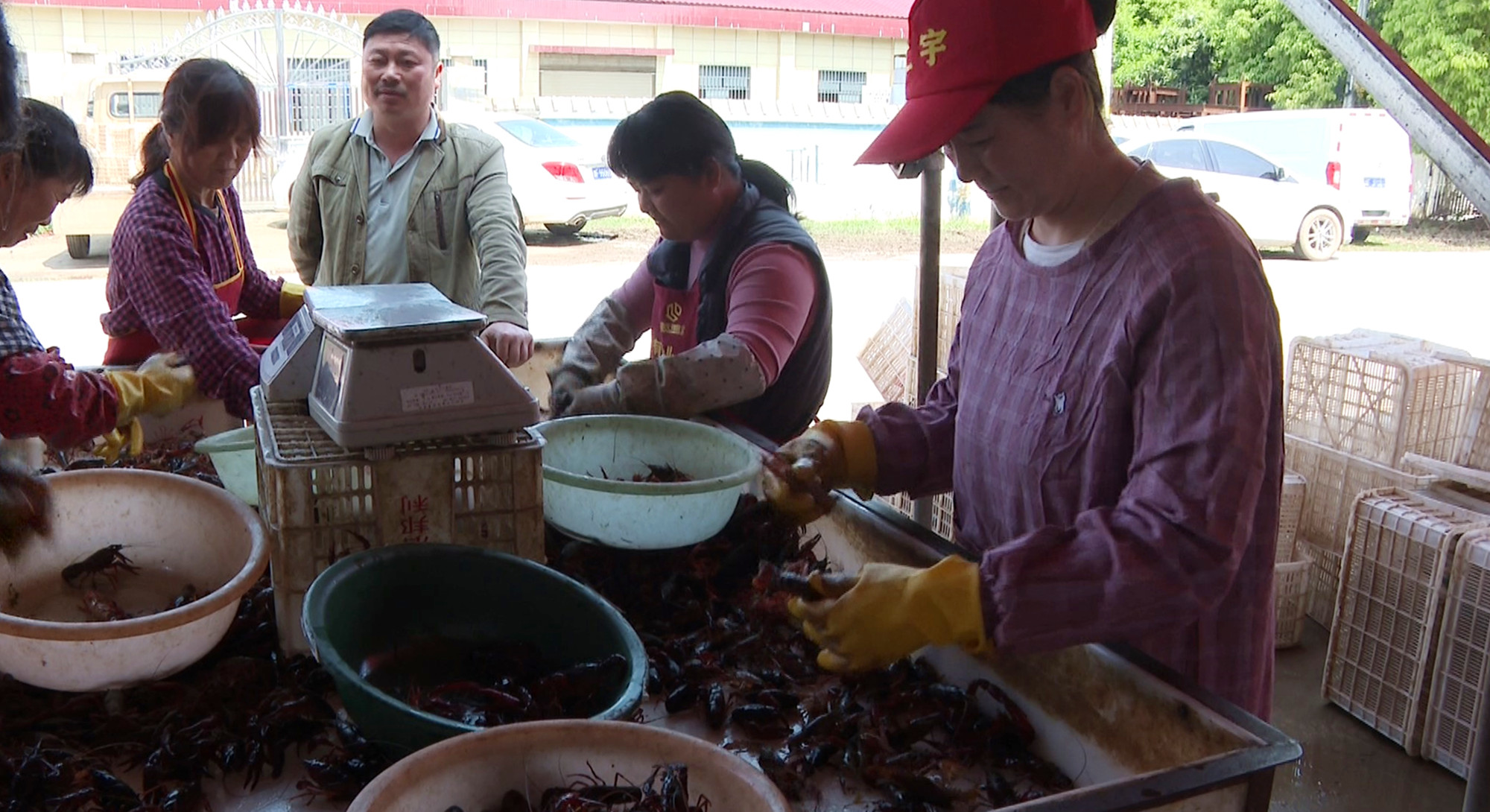 江南龙虾航拍008_副本.jpg 江南龙虾航拍008_副本.jpg