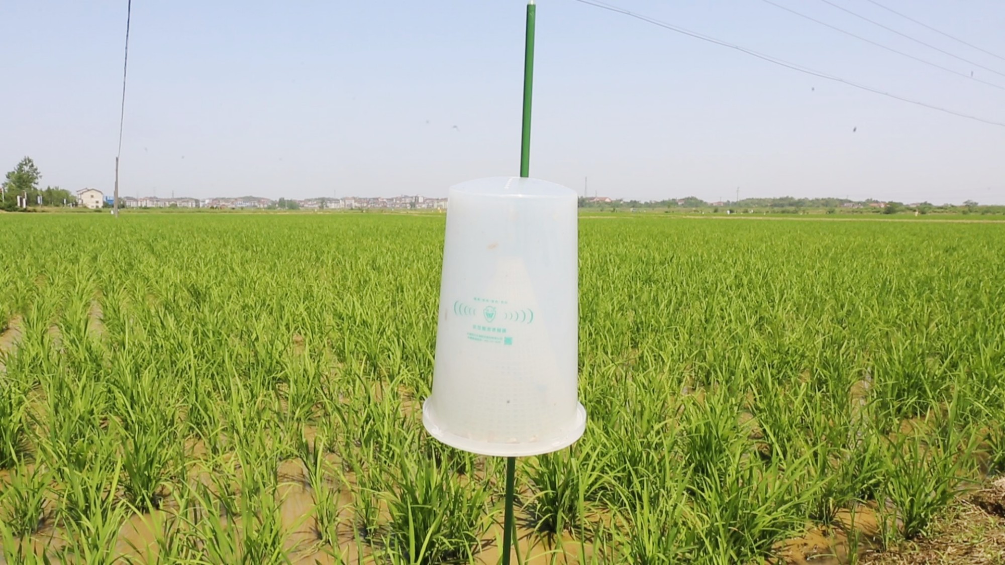 农业生物防控003_副本.jpg 农业生物防控003_副本.jpg