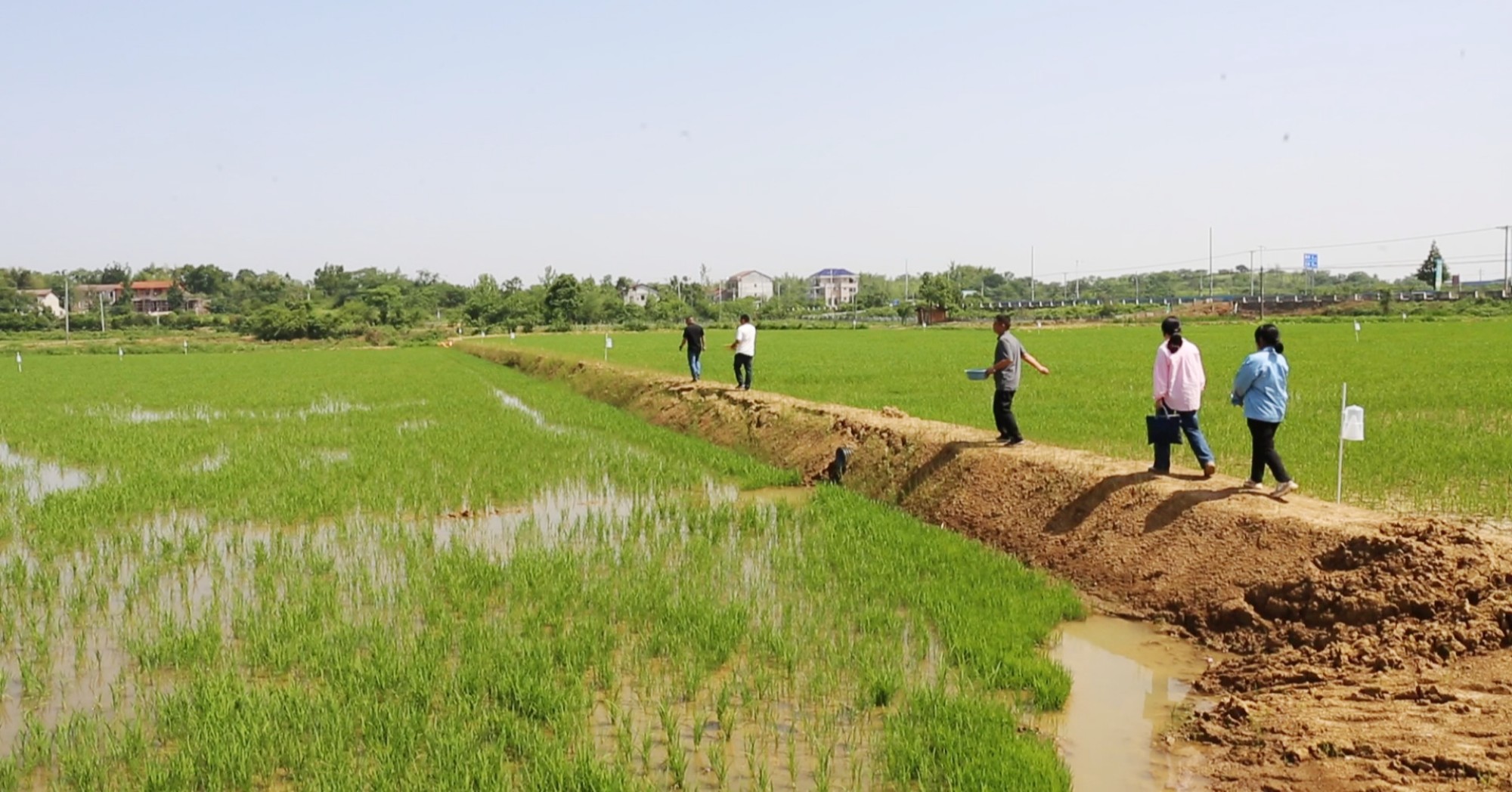 农业生物防控001_副本.jpg 农业生物防控001_副本.jpg