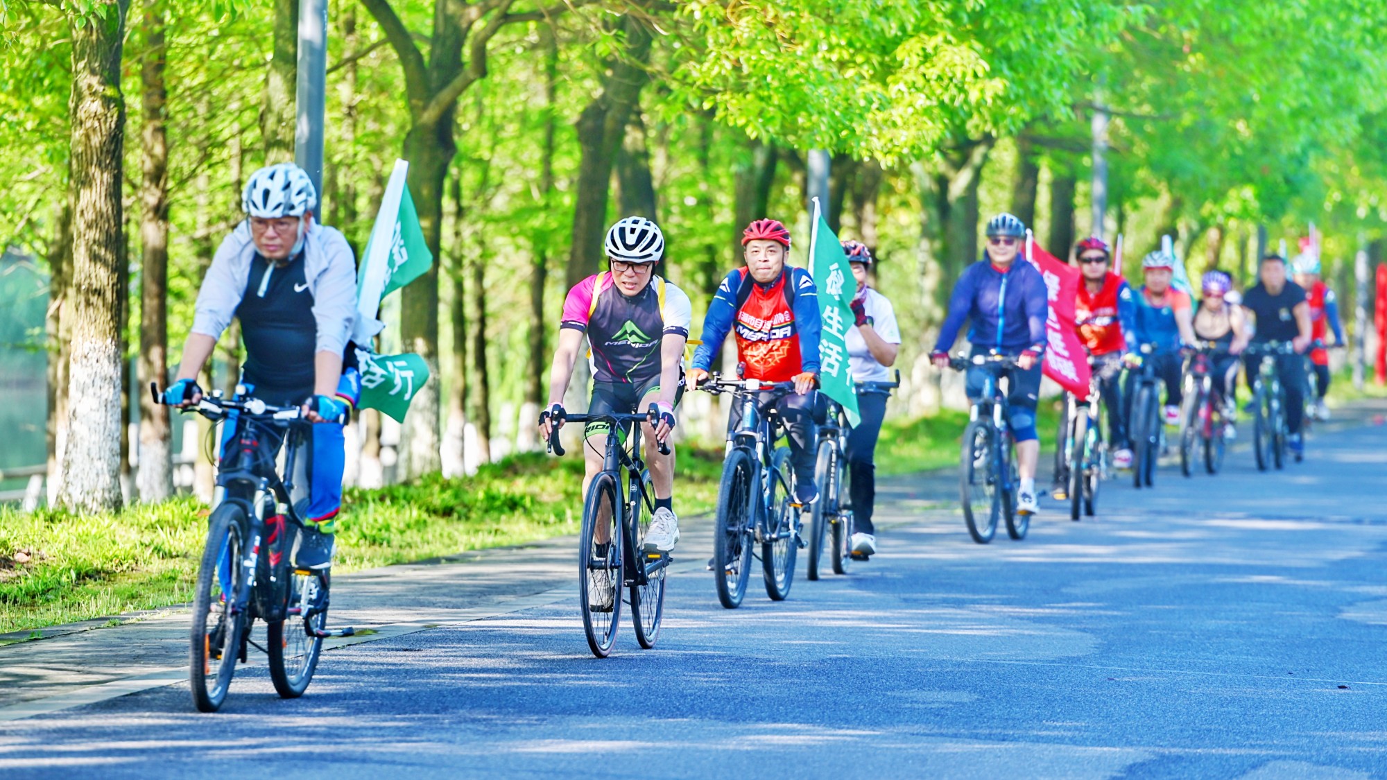 陈尧.jpg 陈尧.jpg