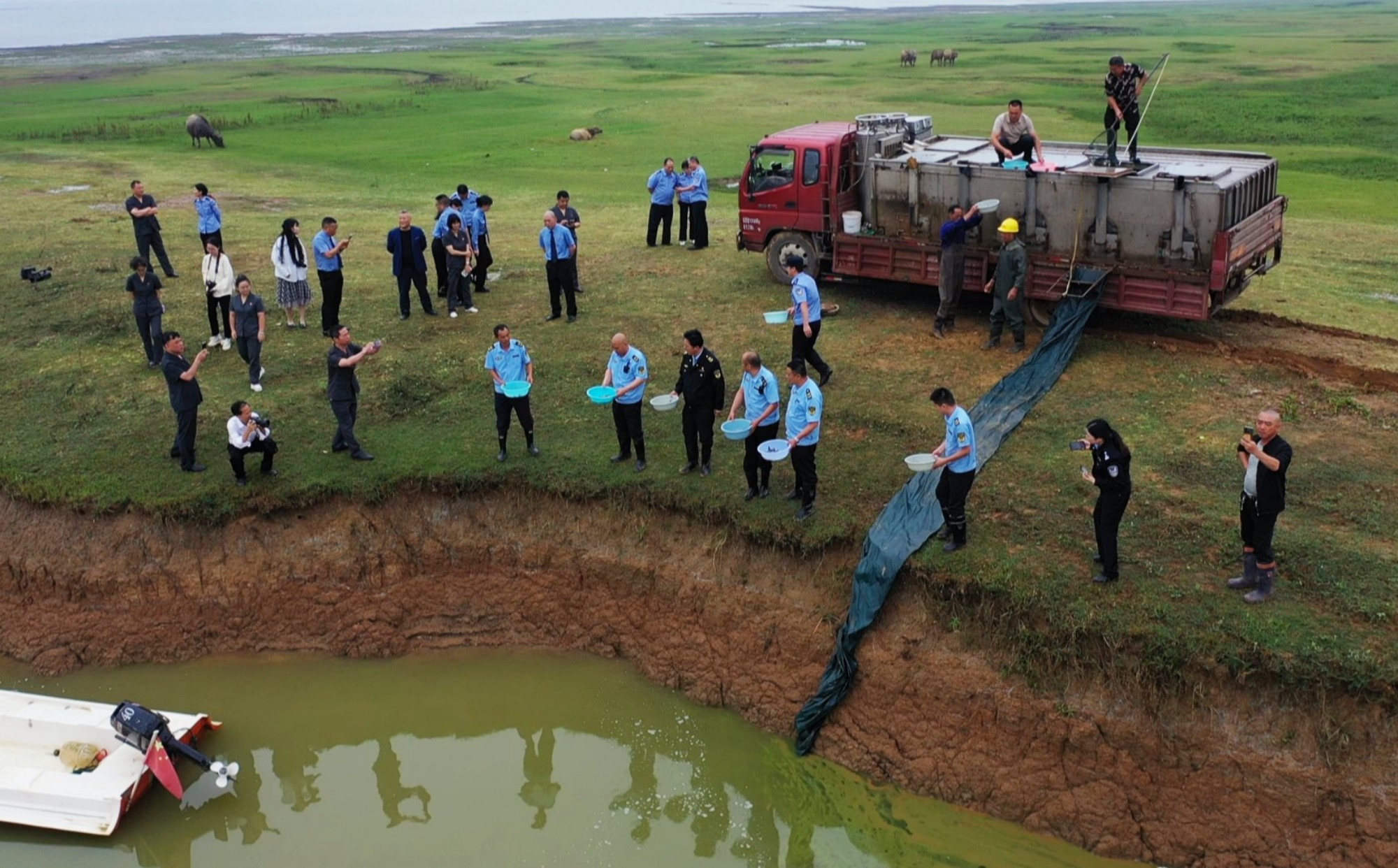 黄盖湖放流001_副本.jpg