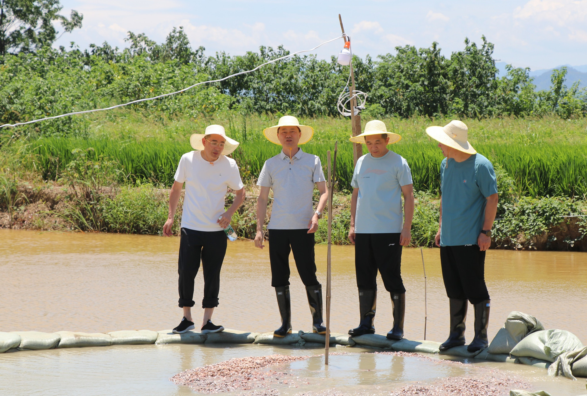 微信图片_20240708152300_副本.jpg 微信图片_20240708152300_副本.jpg