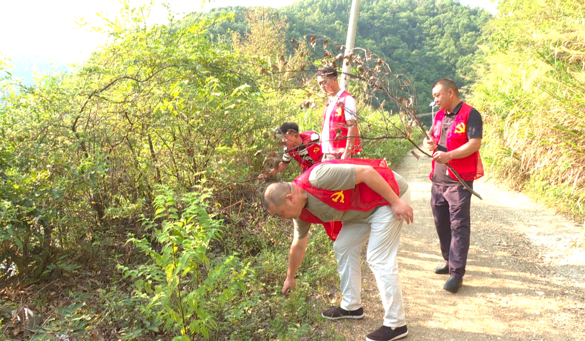 长安街道森林防火004_副本.jpg 长安街道森林防火004_副本.jpg