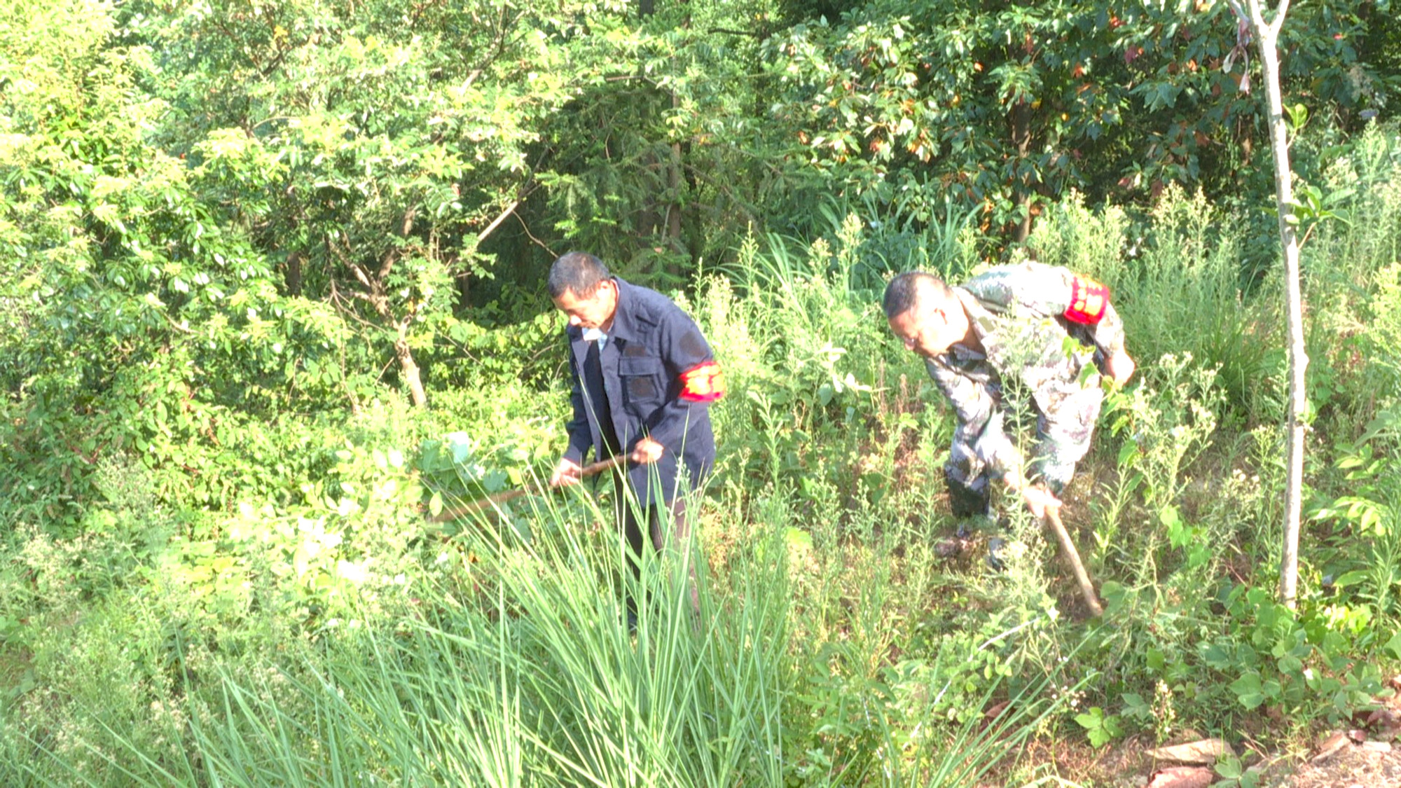 护林员015_副本.jpg 护林员015_副本.jpg