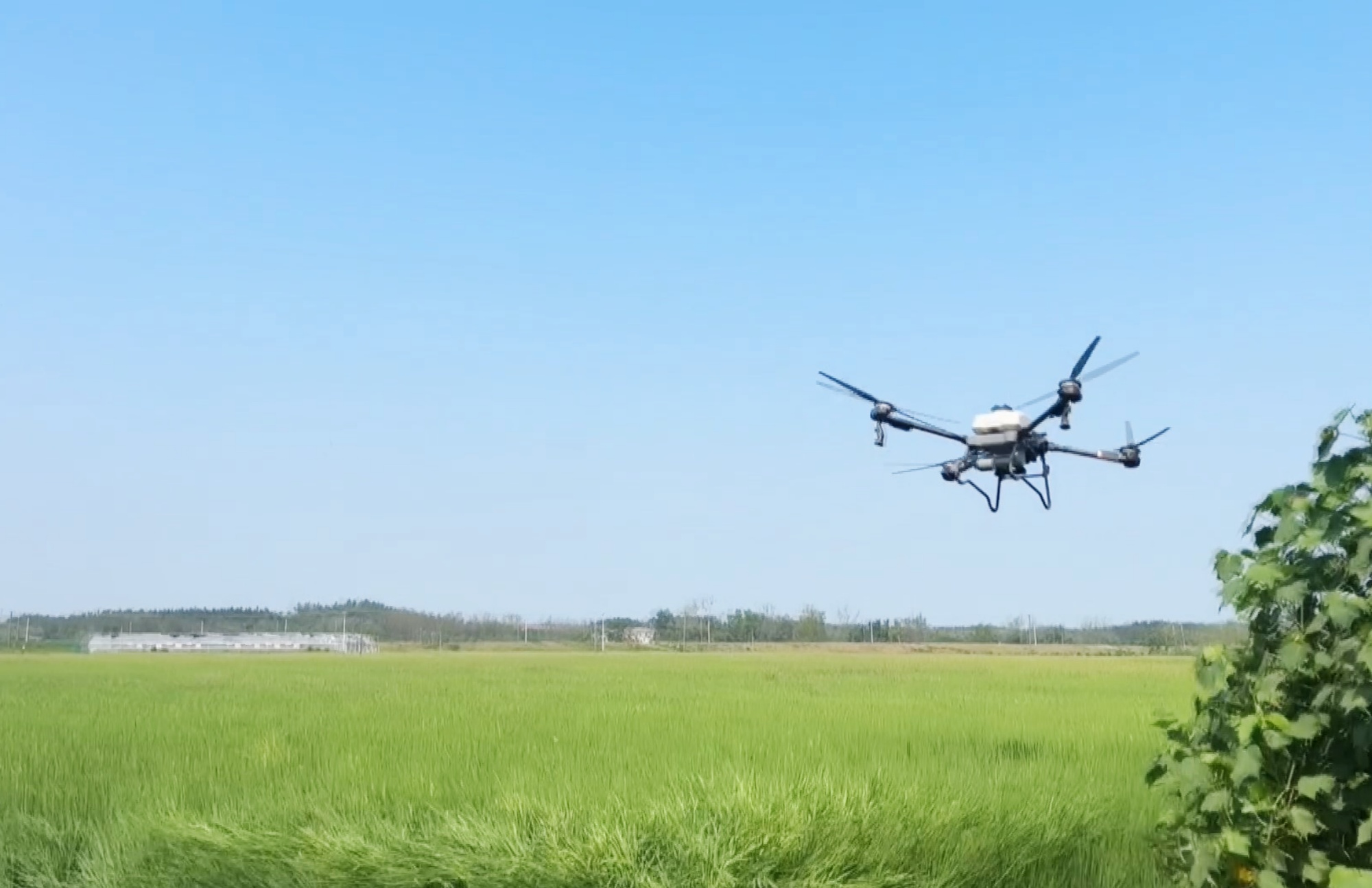无人机003_副本.jpg