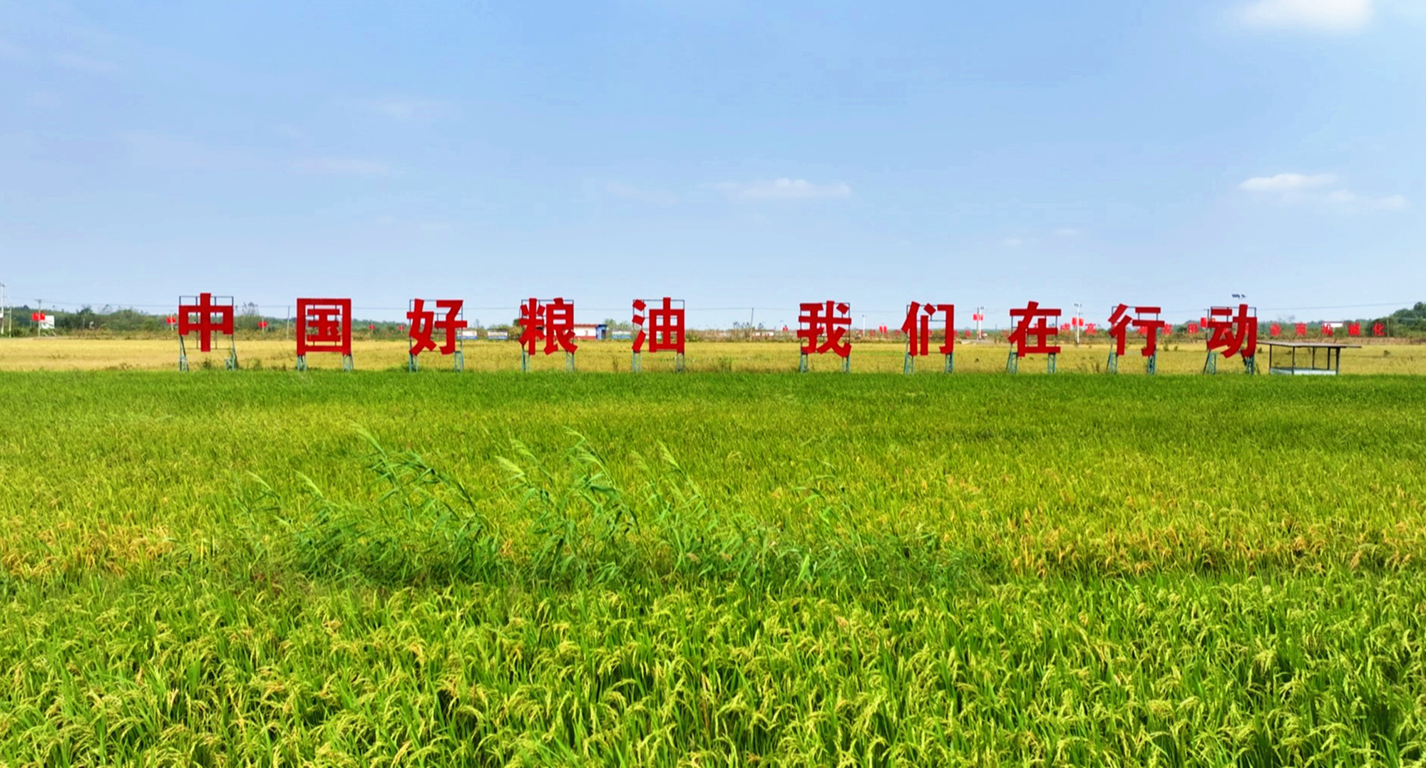 高标准农田建设009_副本.jpg