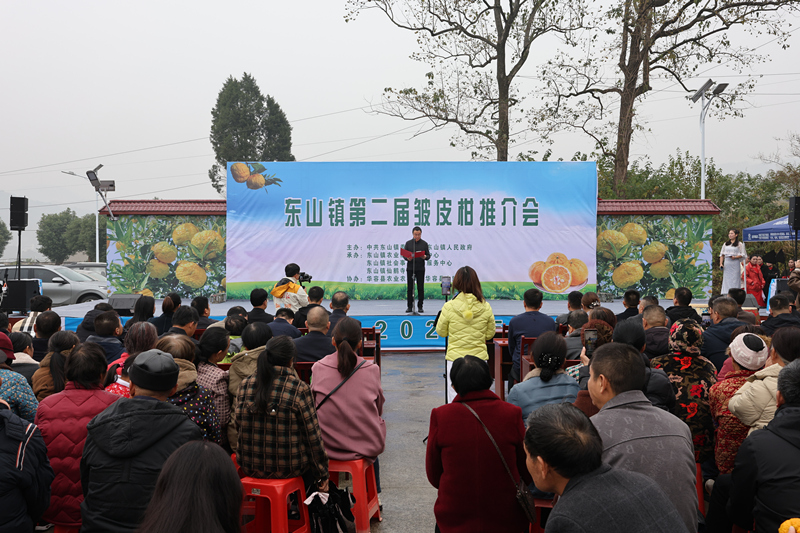 微信图片_20241124200913_副本.jpg