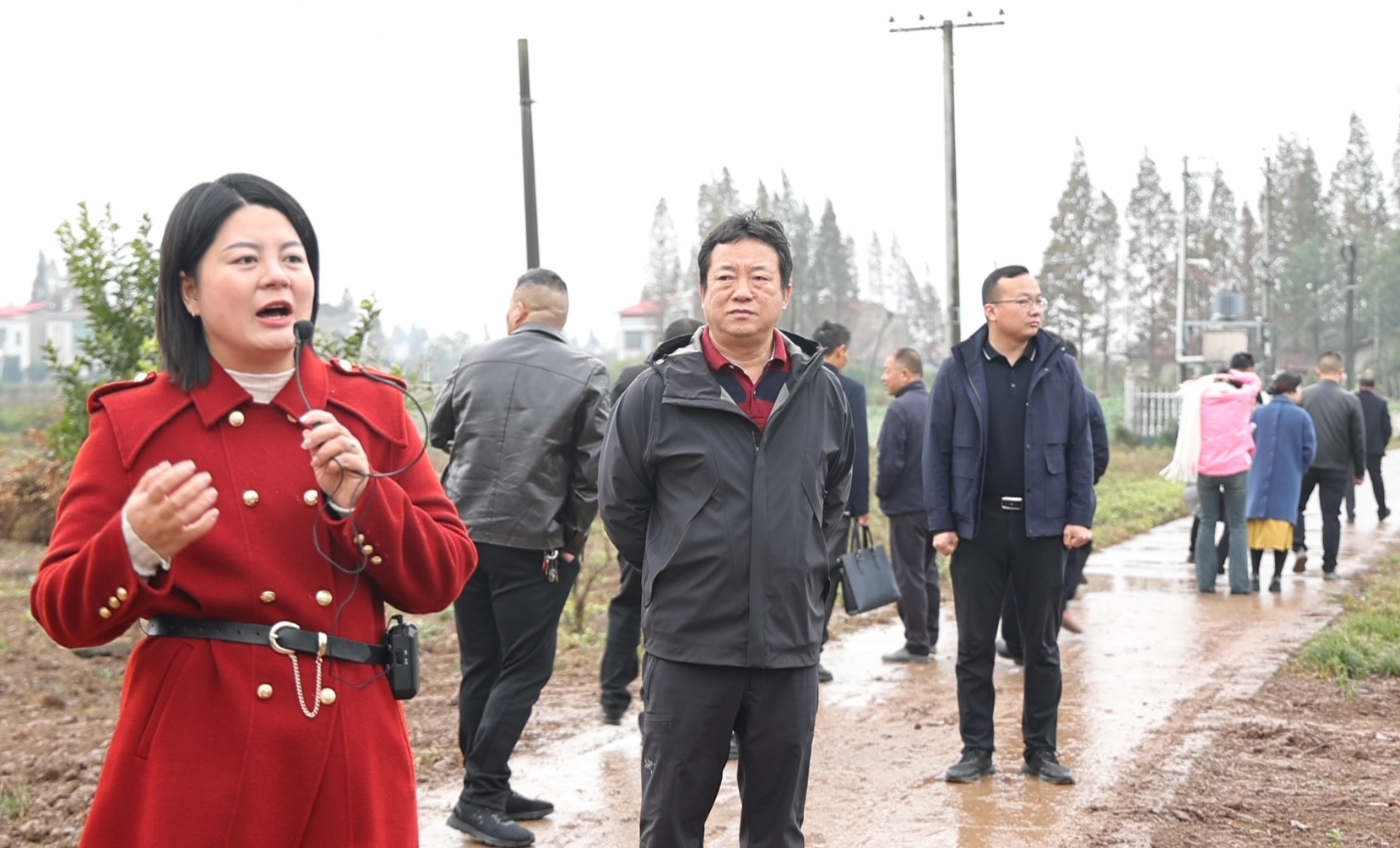 微信截图_20241125194049.png