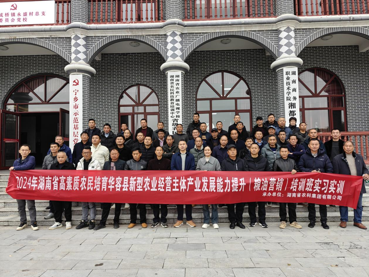 图片8.png