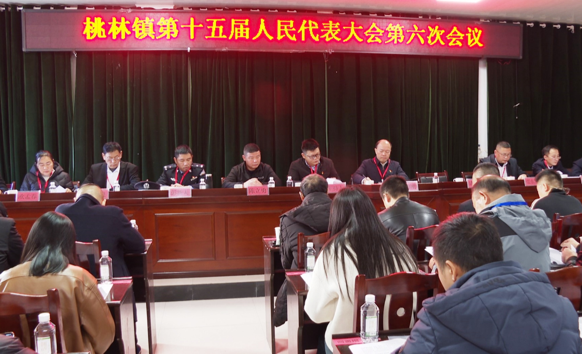 桃林人大005_副本.jpg