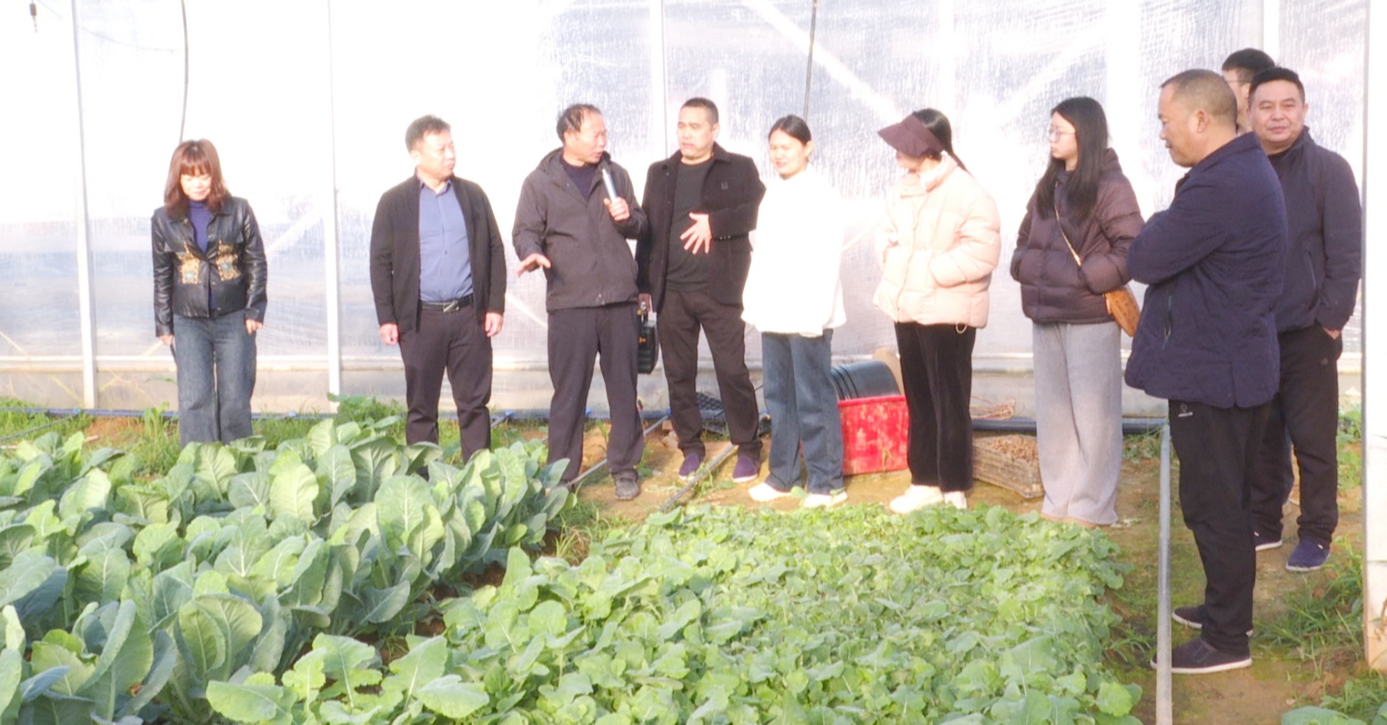 农业局_副本.jpg 农业局_副本.jpg