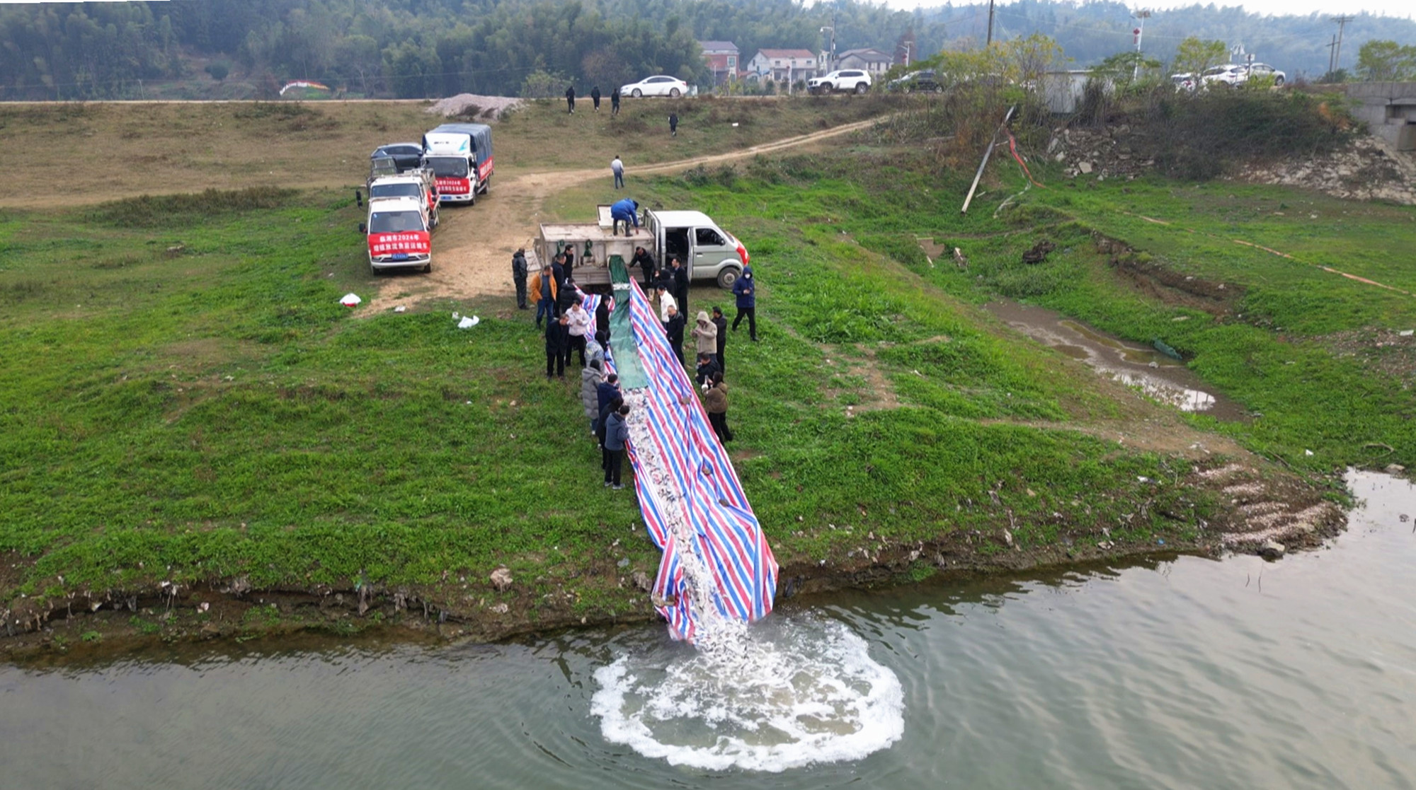 放流_副本.jpg 放流_副本.jpg