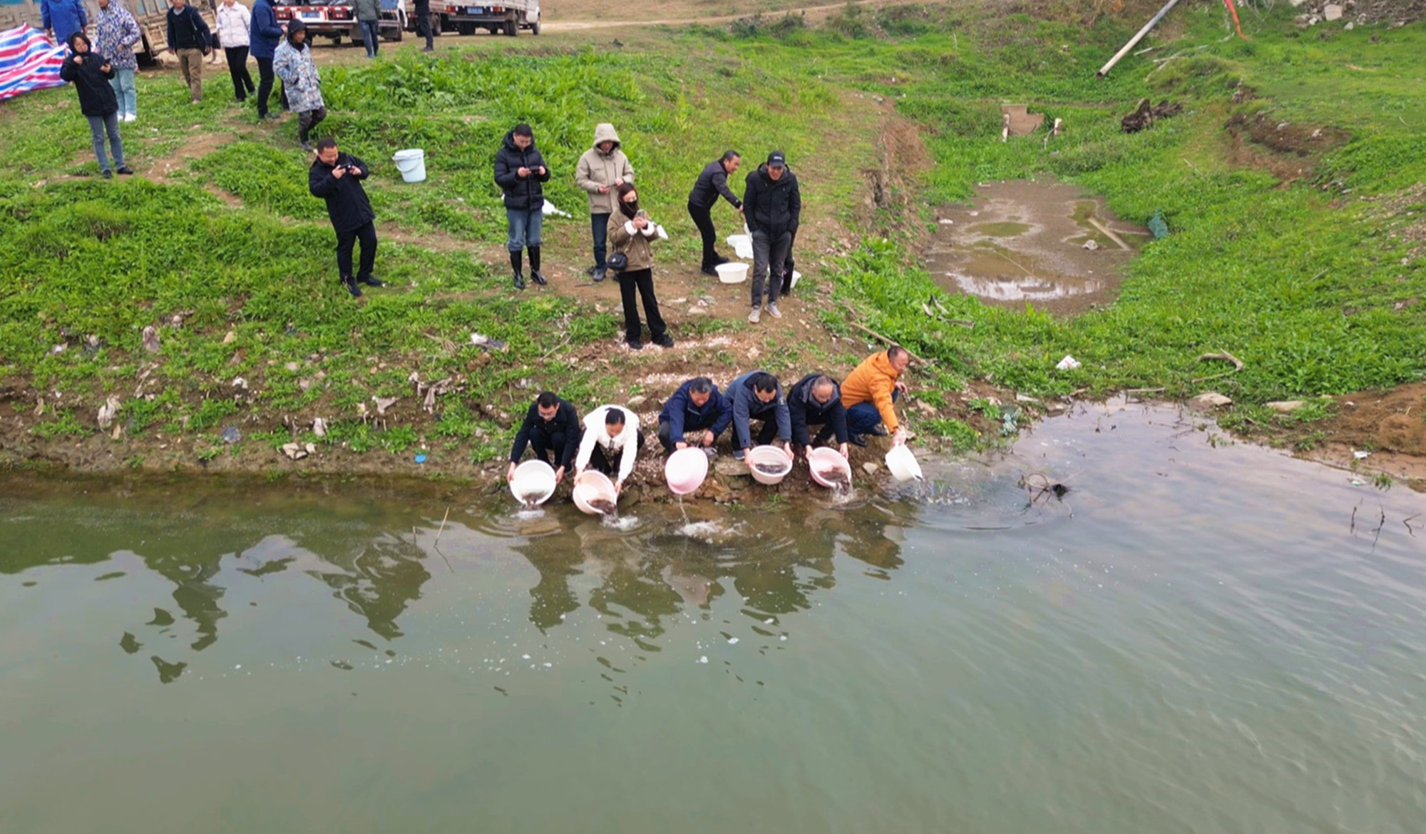 放流003_副本.jpg 放流003_副本.jpg