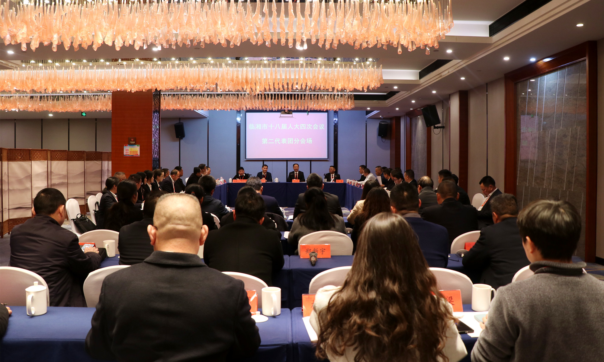 12.20书记市长 分团讨论.jpg