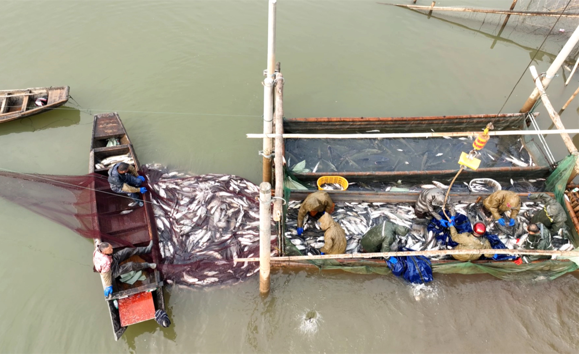 捕鱼010_副本.jpg 捕鱼010_副本.jpg