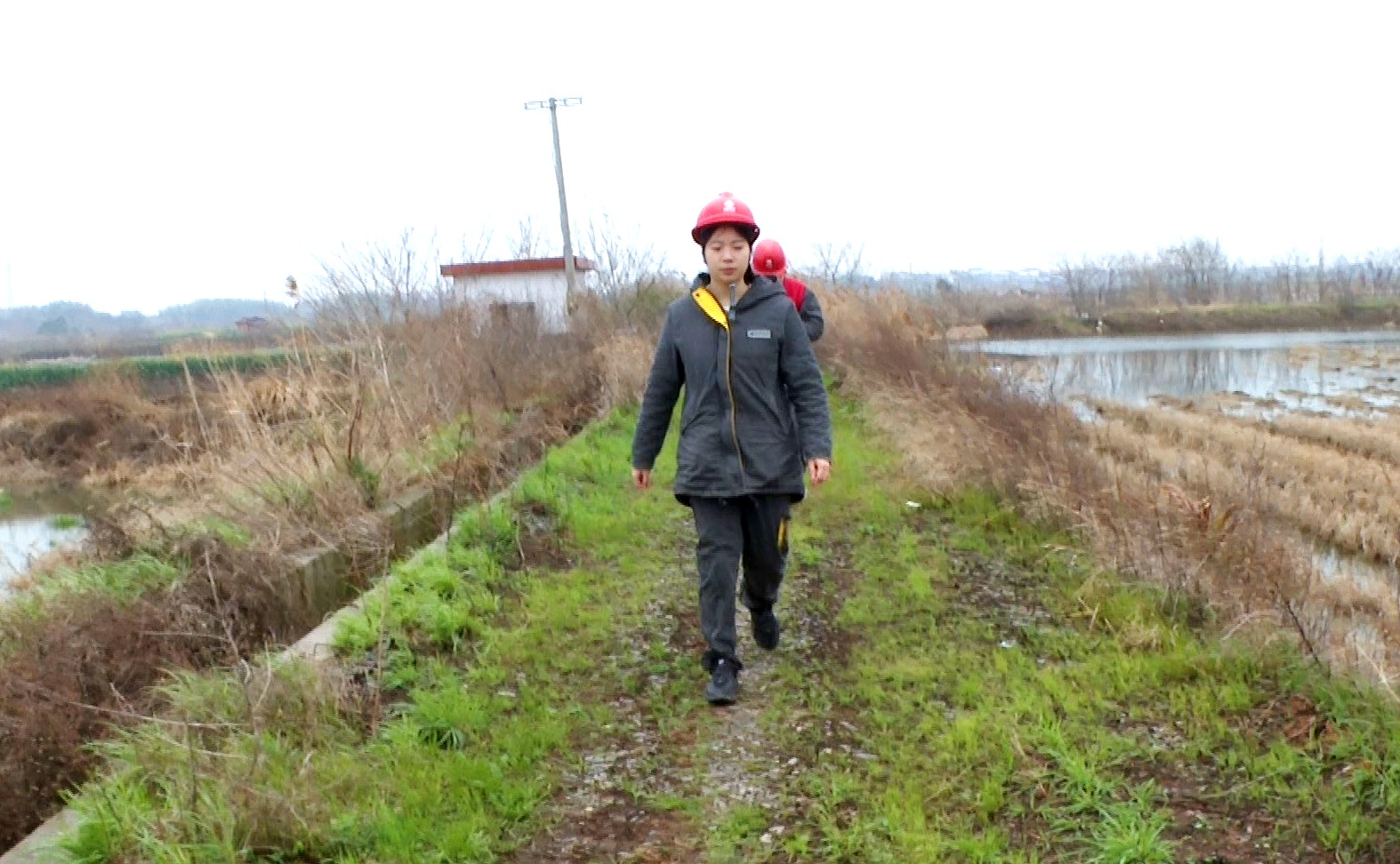 电力先进个人01.JPG 电力先进个人01.JPG