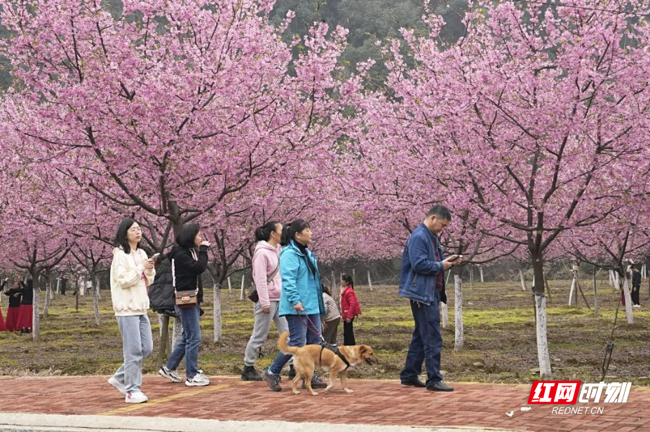 微信图片_20250214152157.jpg
