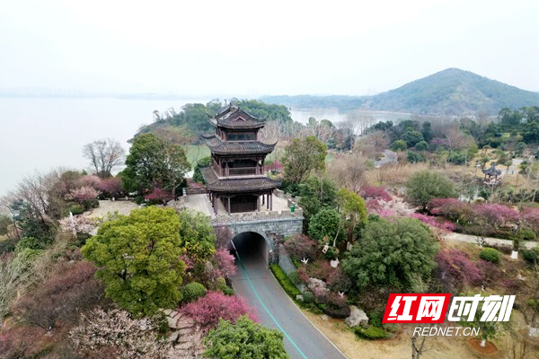 微信图片_20250317170150_副本.jpg
