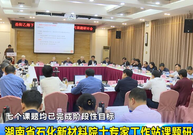 七个课题均已完成阶段性目标 湖南省石化新材料院士专家工作站课题研讨会举行