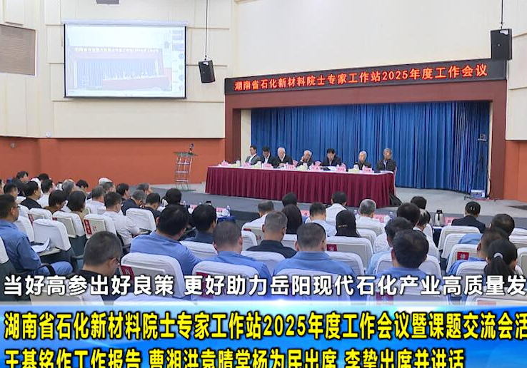 湖南省石化新材料院士专家工作站2025年度工作会议暨课题交流会活动在岳阳举行 王基铭作工作报告 曹湘洪袁晴棠杨为民出席 李挚出席并讲话 