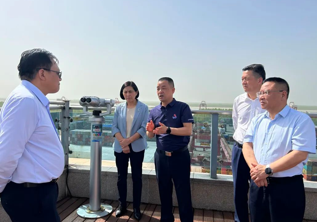 湖北省政协赴城陵矶新港区调研