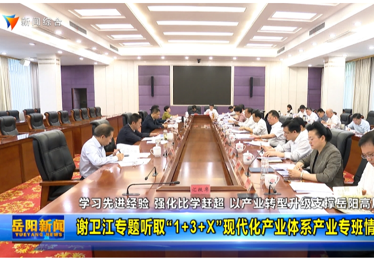 谢卫江专题听取“1+3+X”现代化产业体系产业专班情况汇报