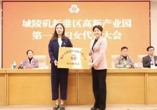 湖南城陵矶新港区高新产业园区妇联以“她动能”助推产城融合