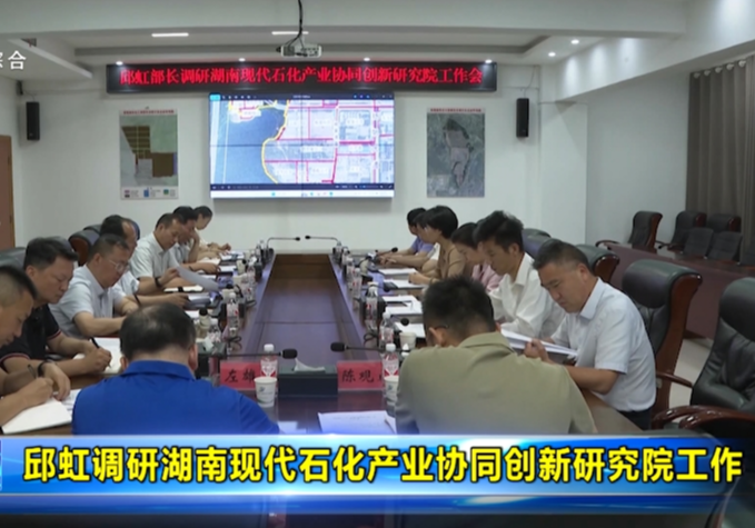 邱虹调研湖南现代石化产业协同创新研究院工作