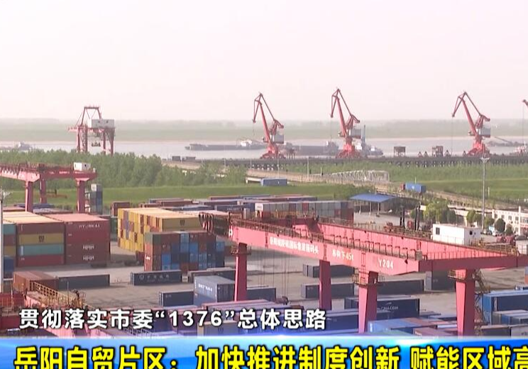【贯彻落实市委“1376”总体思路】岳阳自贸片区：加快推进制度创新 赋能区域高水平开放  