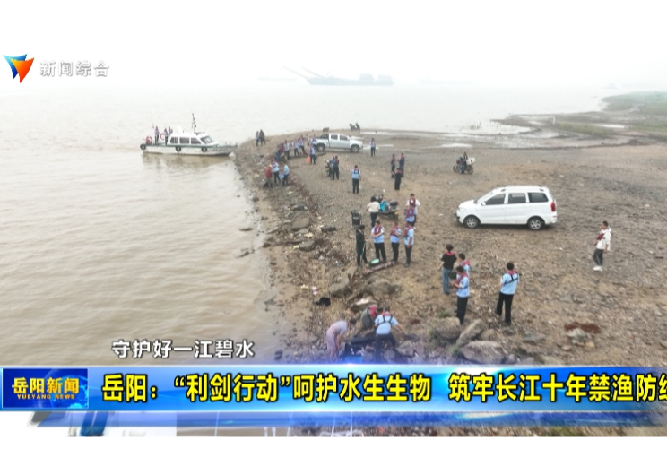 守护好一江碧水 岳阳：“利剑行动”呵护水生生物  筑牢长江十年禁渔防线 