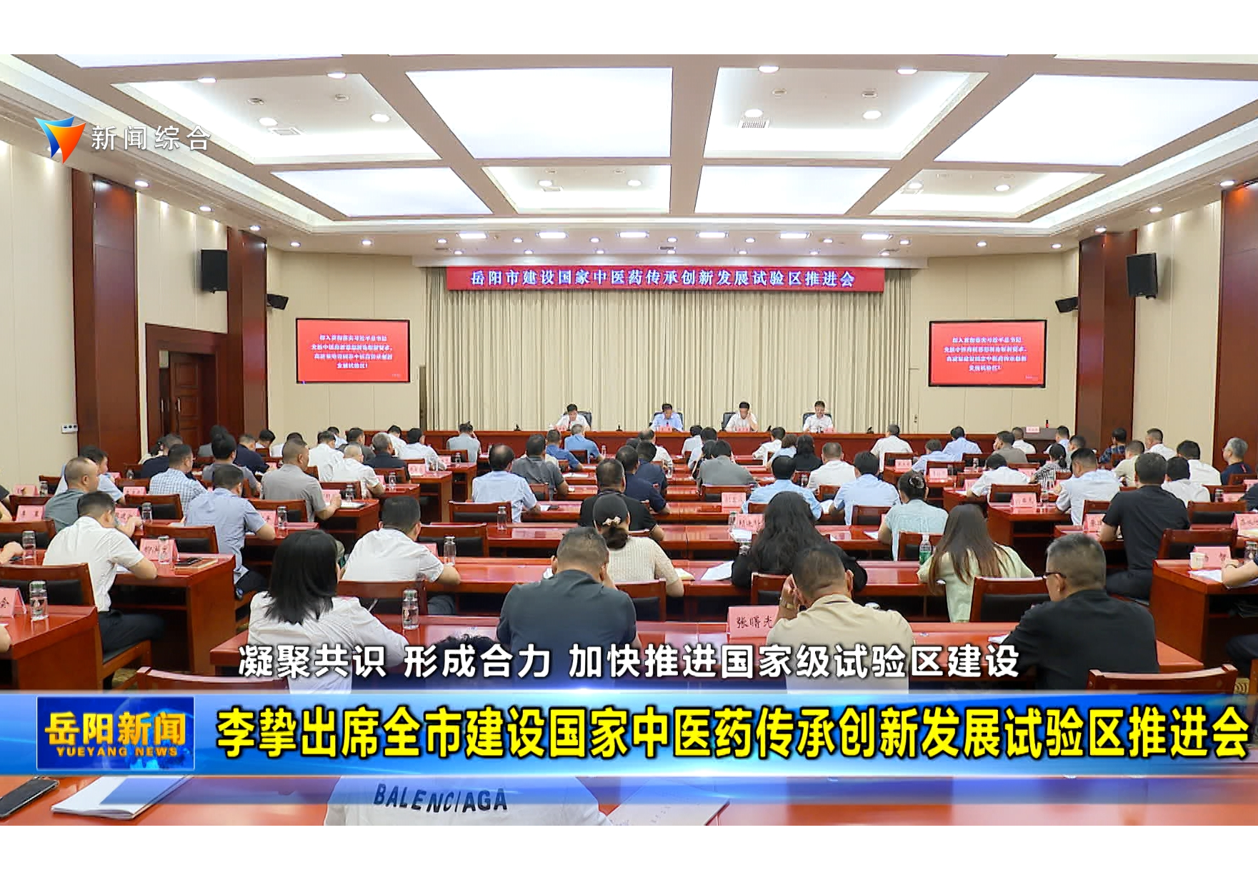 李挚出席全市建设国家中医药传承创新发展试验区推进会 
