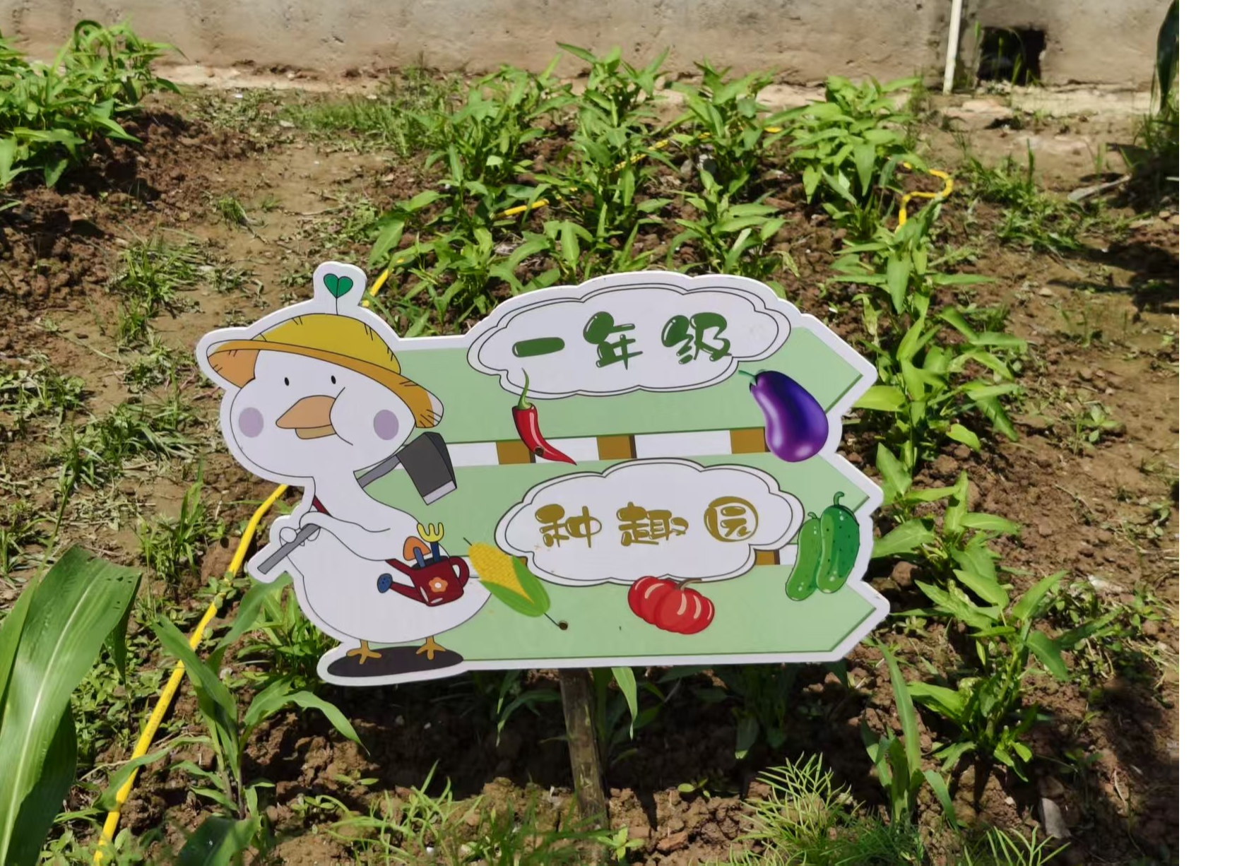 营田学校的劳动实践课：别开生面 寓教于乐