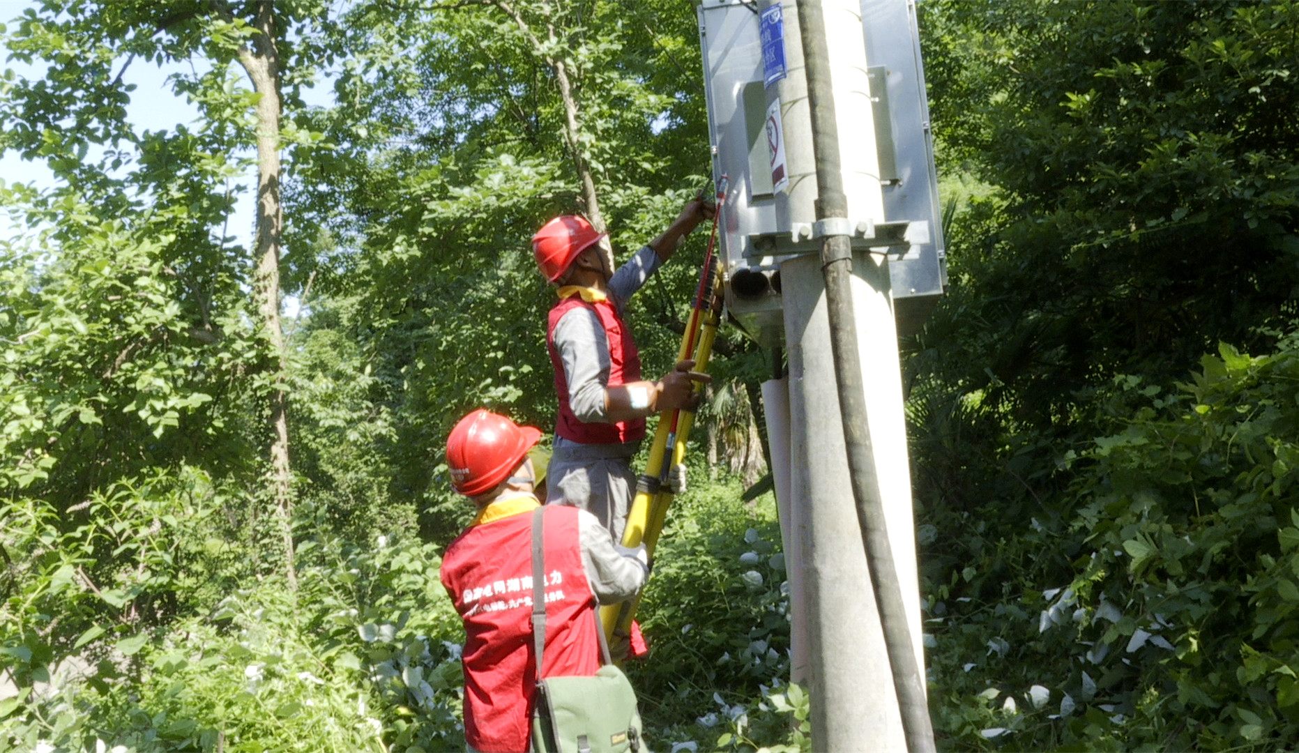 供电公司1_副本.jpg 供电公司1_副本.jpg