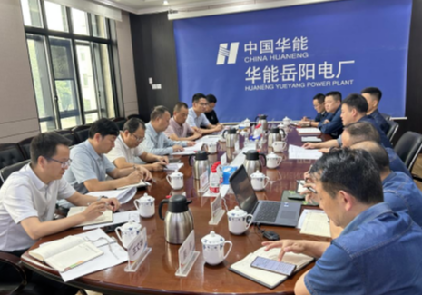 城陵矶新港区党工委书记李建华专题调研华能岳阳、岳阳林纸重点项目 