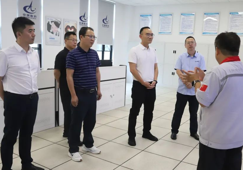 蔺佳调研城陵矶新港区重点项目    强调协同发展与创新突破