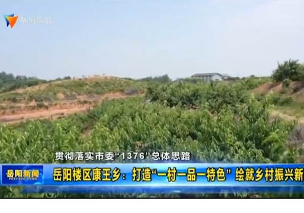 【贯彻落实市委“1376”总体思路】岳阳楼区康王乡：打造“一村一品一特色” 绘就乡村振兴新图景