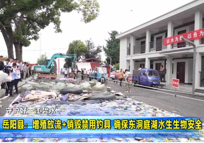【守护好一江碧水】岳阳县：增殖放流+销毁禁用钓具 确保东洞庭湖水生生物安全