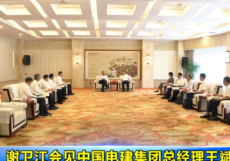 谢卫江会见中国电建集团总经理王斌一行