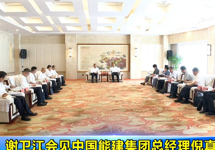 谢卫江会见中国能建集团总经理倪真一行
