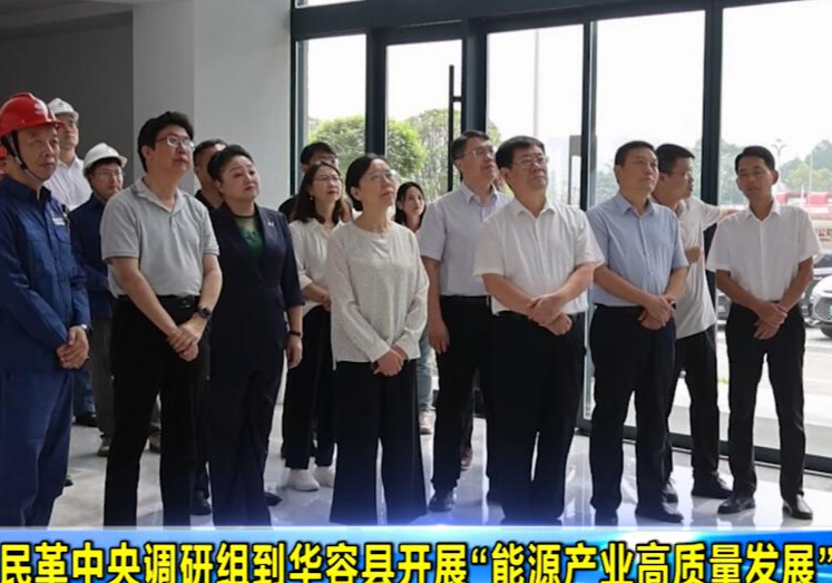 民革中央调研组到华容县开展“能源产业高质量发展”专题调研