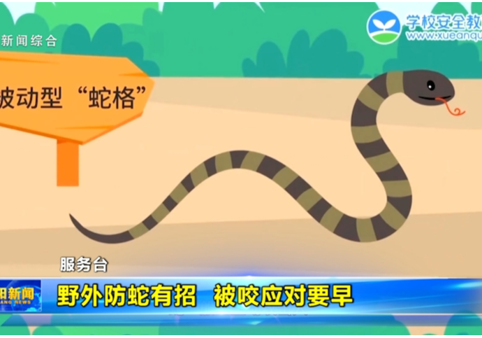 【服务台】野外防蛇有招 被咬应对要早