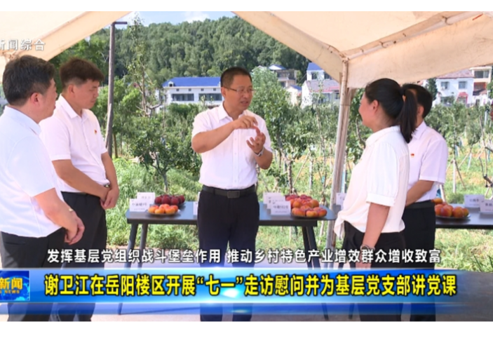 发挥基层党组织战斗堡垒作用 推动乡村特色产业增效群众增收致富 谢卫江在岳阳楼区开展“七一”走访慰问并为基层党支部讲党课