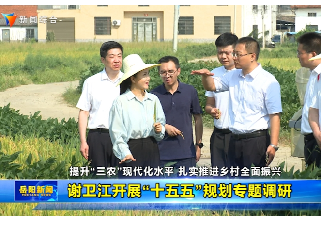 提升“三农”现代化水平 扎实推进乡村全面振兴 谢卫江开展“十五五”规划专题调研