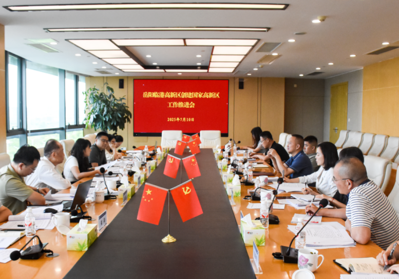 岳阳临港高新区召开创建国家高新区工作推进会