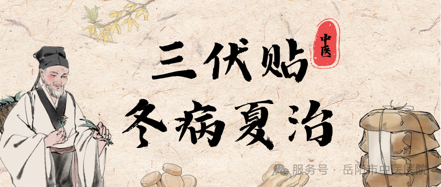 中式复古手绘风夏季中医三伏天健康养生指南公众号封面 (1).png