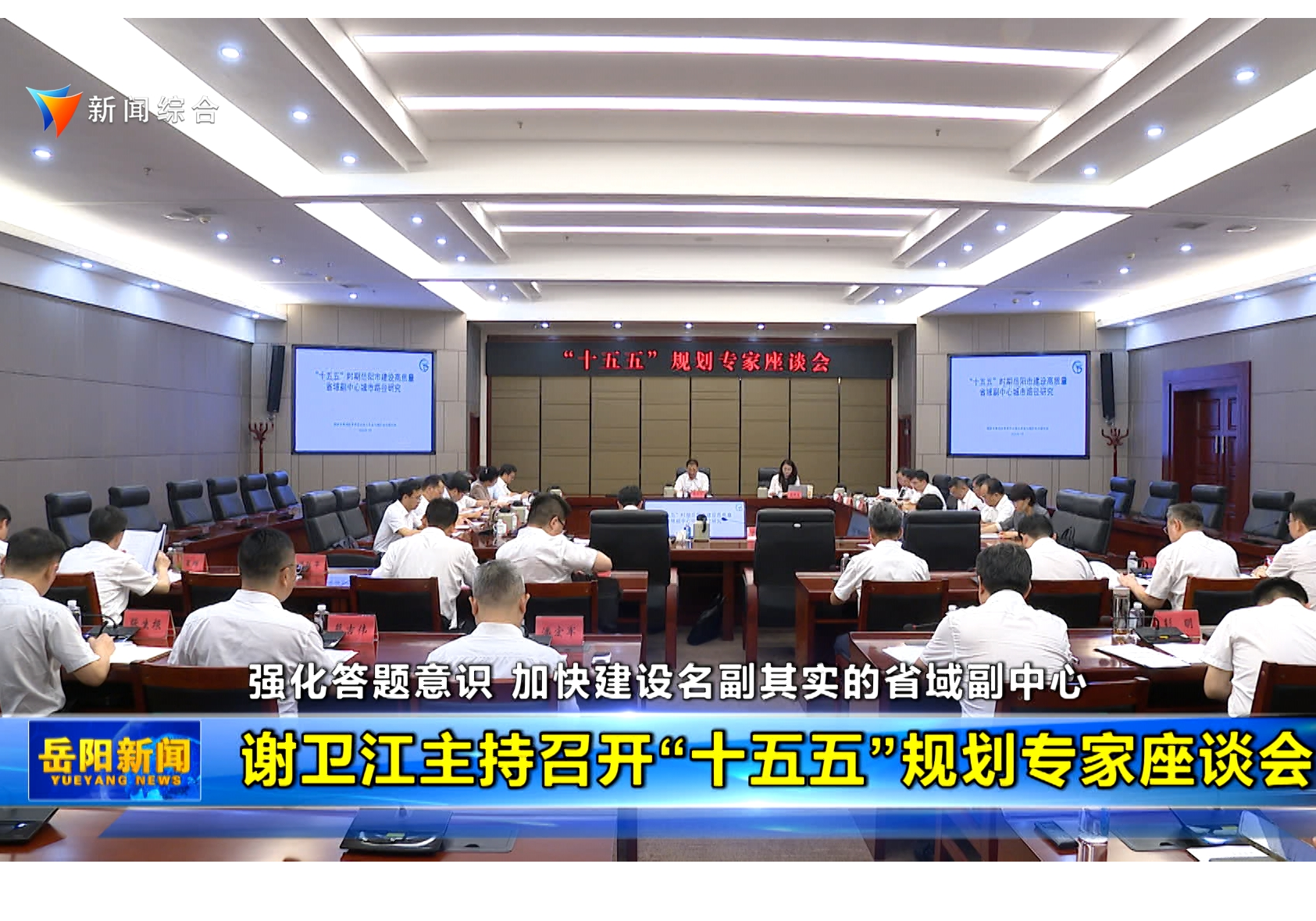 谢卫江主持召开“十五五”规划专家座谈会