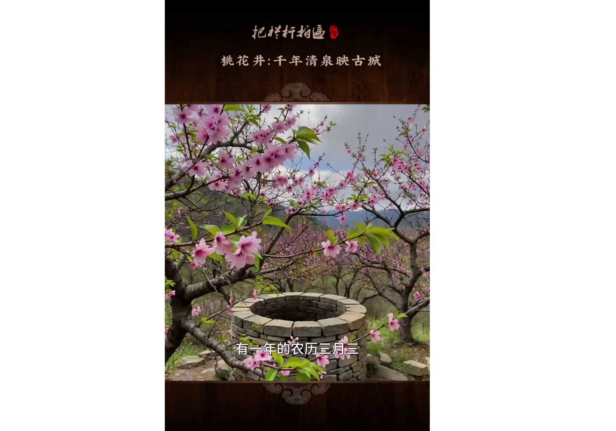 本期《桃花井：千年清泉映古城》简介