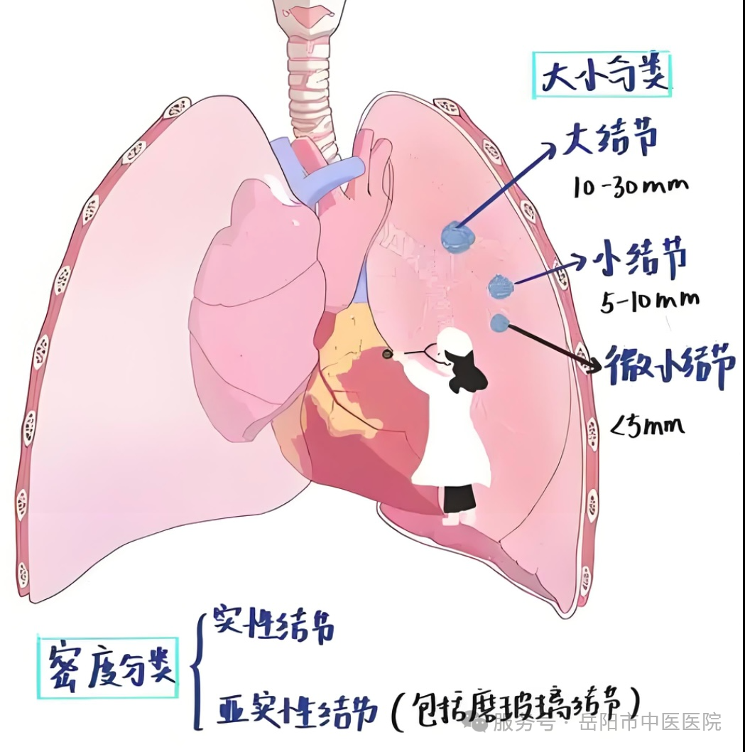 普外3.jpg