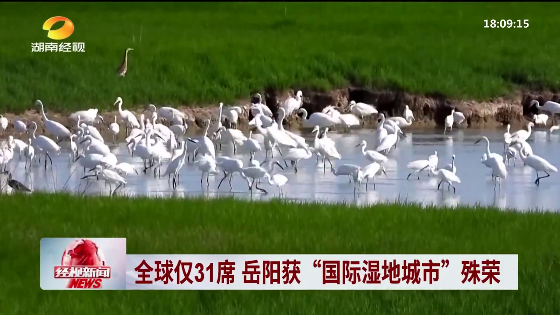 【湖南经视】全球仅31席 岳阳获“国际湿地城市”殊荣